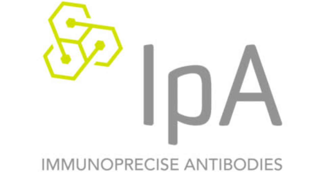 immunoprecise antibodies ltd (ipa stock), IPA US Stock Price News